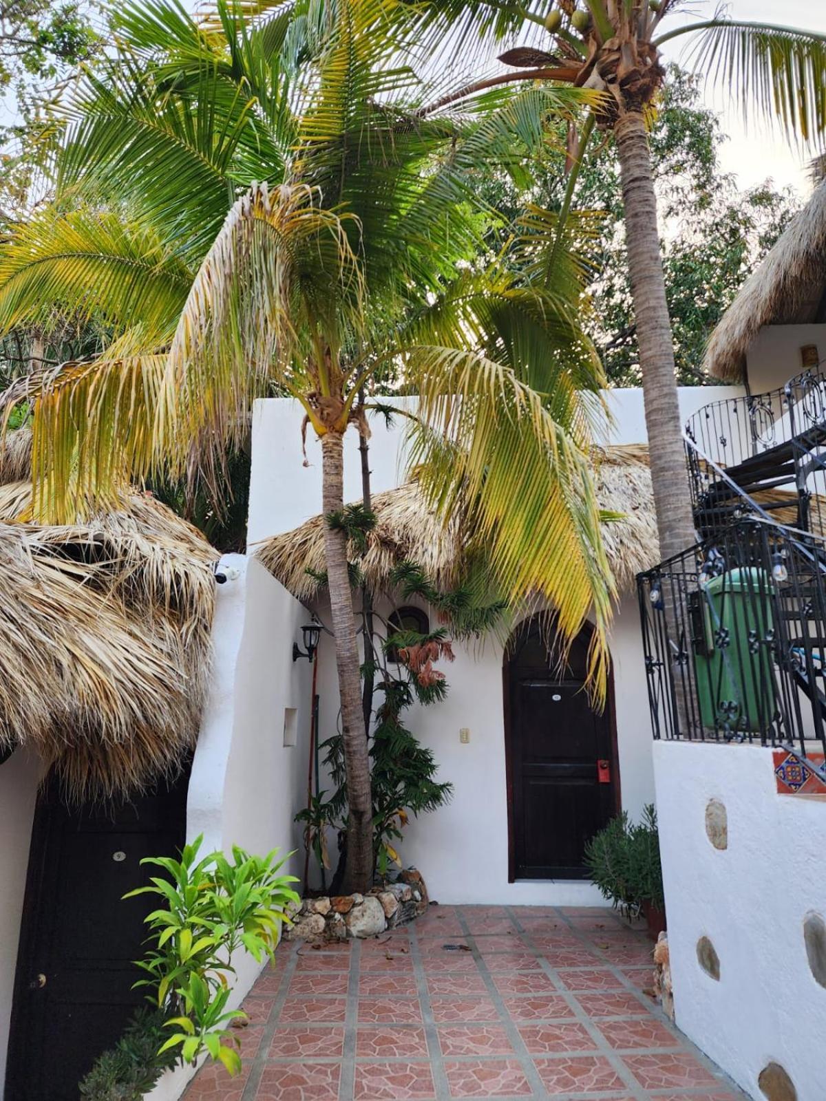 Hotel Esencia Puerto Escondido à Puerto Escondido  Extérieur photo